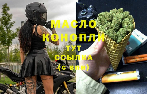 дживик Абаза