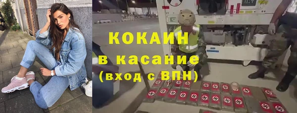 дживик Абаза
