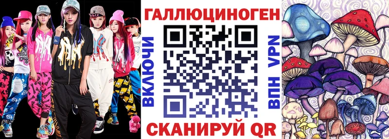 где купить   Полярный  Галлюциногенные грибы Psilocybe 